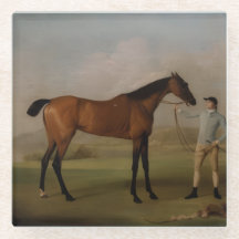 Montar a caballo en Stone Coaster 