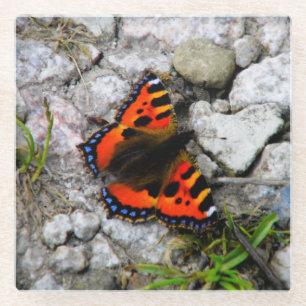 Posavasos De Vidrio Montura de vidrio de mariposa