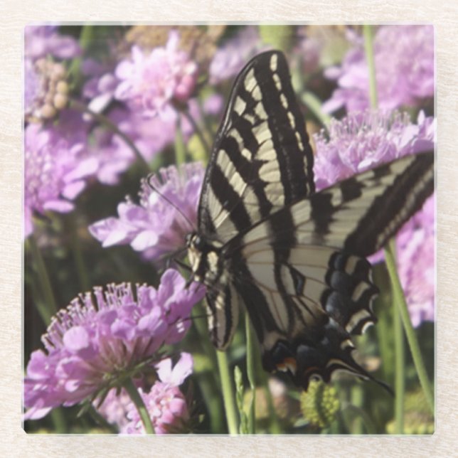 Posavasos De Vidrio Montura de vidrio de mariposa (Anverso)