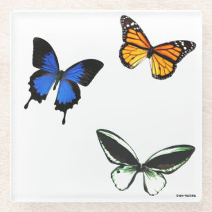 Posavasos De Vidrio Mostrador de vidrio del patrón de mariposa