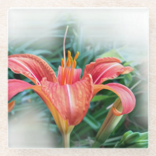 Posavasos De Vidrio naranja lily