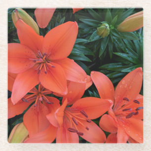 Posavasos De Vidrio Naranja Lily Glass Coaster