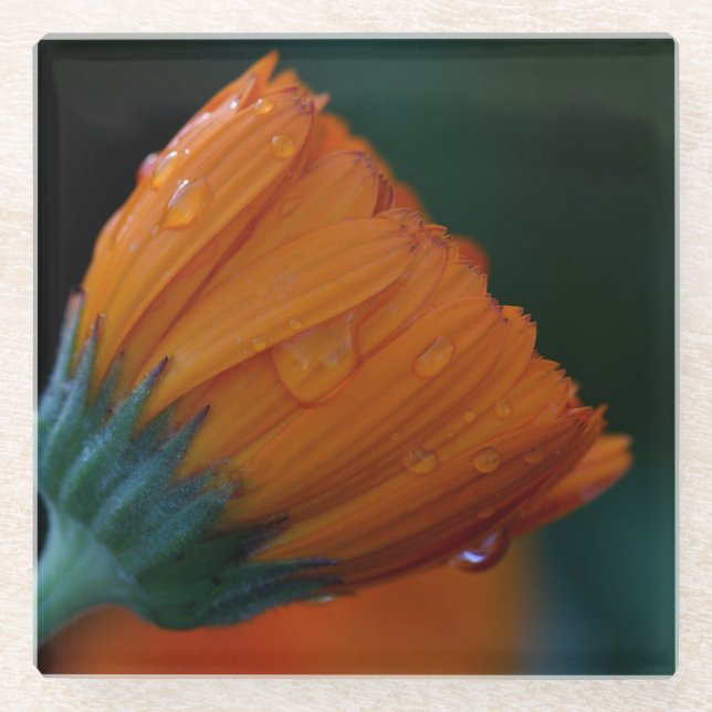 Posavasos De Vidrio Naranja marigold (Anverso)