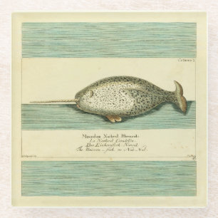 Posavasos De Vidrio Narwhal Antiguo Whale Watercolor Arte Científico