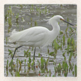 Posavasos De Vidrio Naturaleza Blanco Wading Bird Photo Large Egret