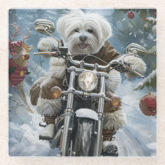 Posavasos De Vidrio Navidades de motocicletas Coton De Tulear (Anverso)