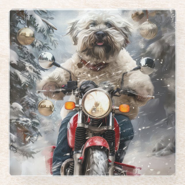 Posavasos De Vidrio Navidades de motociclismo de perros de La Habana (Anverso)