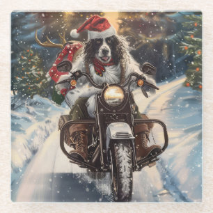 Posavasos De Vidrio Navidades en motocicleta de la equitación del perr