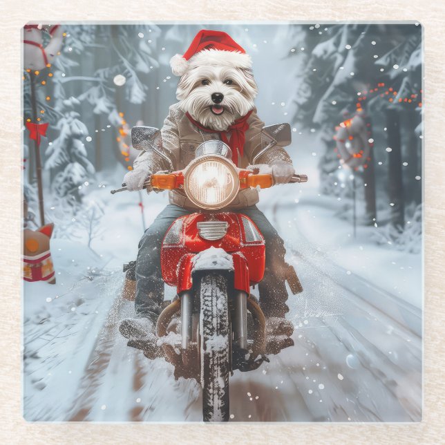 Posavasos De Vidrio Navidades malteses de ciclismo de perros (Anverso)