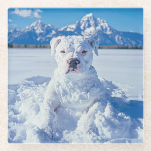 Posavasos De Vidrio Navidades Pitbull Dog Snowman