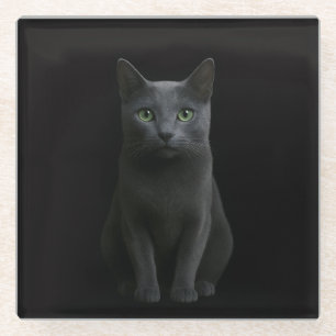 Posavasos de vidrio negro 4 Luxe con gato Azul Rus