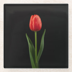 Posavasos de vidrio negro 4 Luxe con Tulipán Rojo 