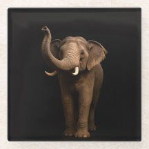 Posavasos de vidrio negro 4 Luxe, Elefante Poderos
