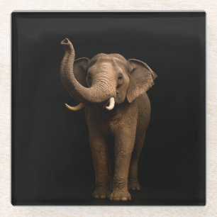 Posavasos de vidrio negro 4 Luxe, Elefante Poderos