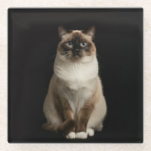 Posavasos de vidrio negro 4 Luxe, gato birmano