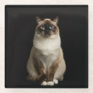 Posavasos de vidrio negro 4 Luxe, gato birmano