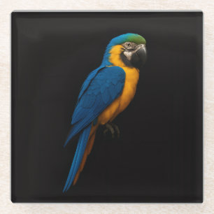 Posavasos de vidrio negro 4 Luxe, Guacamayo azul y