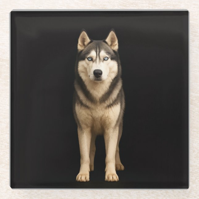 Posavasos de vidrio negro 4 Luxe, Husky Elite Hela (Anverso)