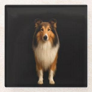 Posavasos de vidrio negro 4 Luxe, perro Collie lea