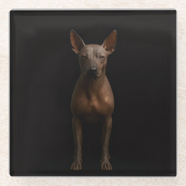 Posavasos de vidrio negro 4 Luxe, perro Pila Argen (Anverso)