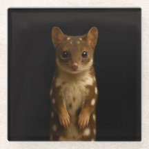 Posavasos de vidrio negro 4 Luxe, Quoll dulce