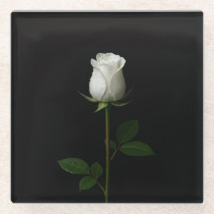 Posavasos de vidrio negro 4 Luxe, Rosa blanca pura