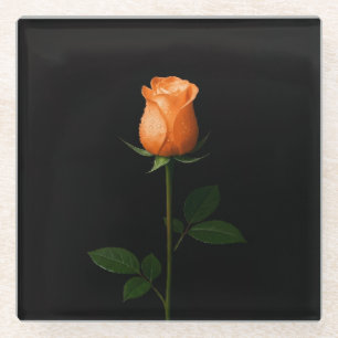 Posavasos de vidrio negro 4 Luxe, rosa naranja ata