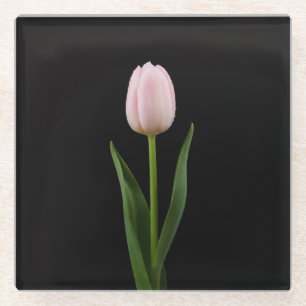 Posavasos de vidrio negro 4 Luxe, Tulipán rosa son