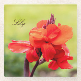 Posavasos De Vidrio Nombre personalizado de Lily roja