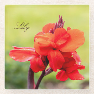 Posavasos De Vidrio Nombre personalizado de Lily roja