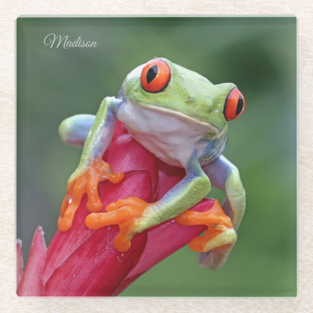 Posavasos De Vidrio Nombre personalizado Frog (Anverso)