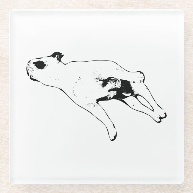 Posavasos De Vidrio Nutmeg Pause (Anverso)