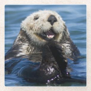 Posavasos De Vidrio Nutria marina de California Enhydra lutris) se arr