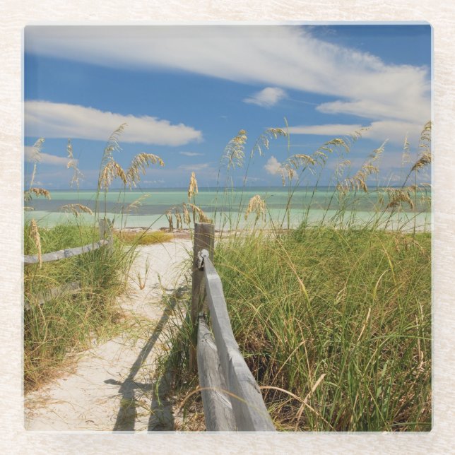 Posavasos De Vidrio Oas de mar Uniola paniculata) creciendo en la play (Anverso)