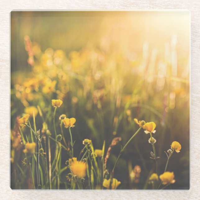 Posavasos De Vidrio Ocaso del ranúnculo (Anverso)