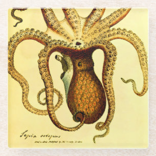 Posavasos De Vidrio Octopus Vintage N.º 46 Soporte de Vidrio de Arch