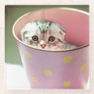 Posavasos De Vidrio Ocultación del gatito