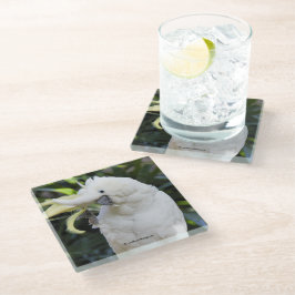 Posavasos De Vidrio Olas de coco con crema de azufre al fotógrafo