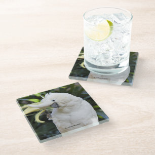 Posavasos De Vidrio Olas de coco con crema de azufre al fotógrafo
