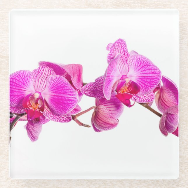 Posavasos De Vidrio Orquídea (Anverso)