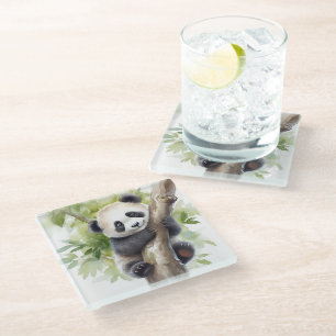 Posavasos De Vidrio Oso Panda En El Árbol