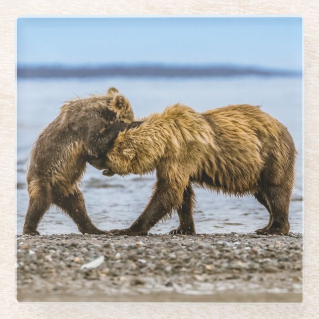 Posavasos De Vidrio Osos marrones costeros (Anverso)