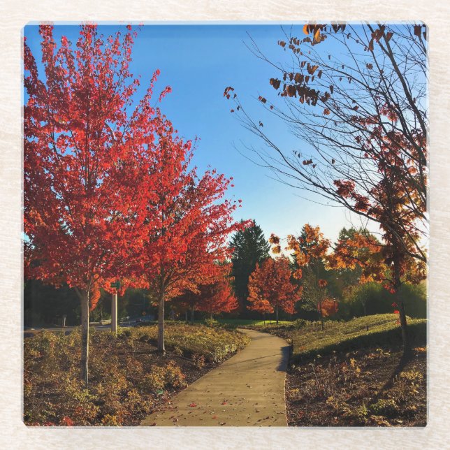 Posavasos De Vidrio Otoño en el parque, Oregón (Anverso)