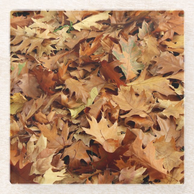 Posavasos De Vidrio otoño, hojas secas (Anverso)
