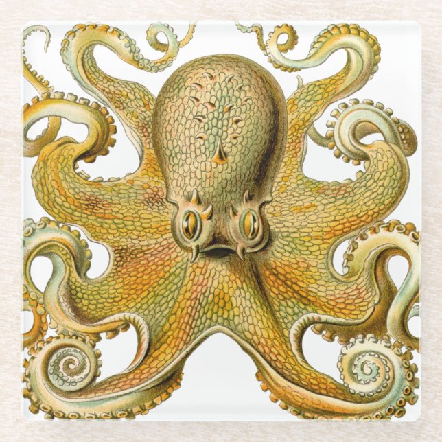 Posavasos De Vidrio Otopus ilustracion antiguo monstruo del mar (Anverso)