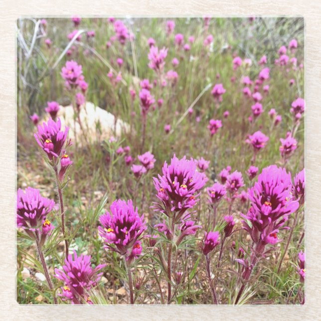 Posavasos De Vidrio Owls Clover Flowers Pink Blooms Meadow (Anverso)