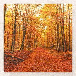 Posavasos De Vidrio Paisaje pintoresco del Camino Otoño