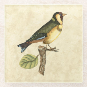 Posavasos De Vidrio Pájaro amarillo y verde encaramado en una pequeña