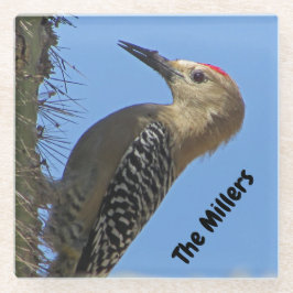 Posavasos De Vidrio Pájaro carpintero fotográfico nombre familia suroe