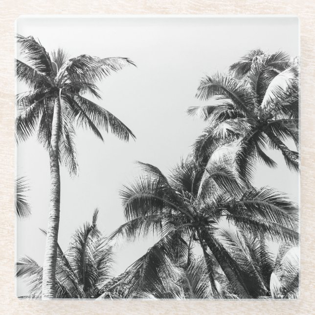 Posavasos De Vidrio Palm Tree Leaf Black White (Anverso)
